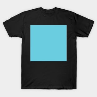 Light Sky Blue T-Shirt